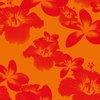 cor: Paraíso Laranja